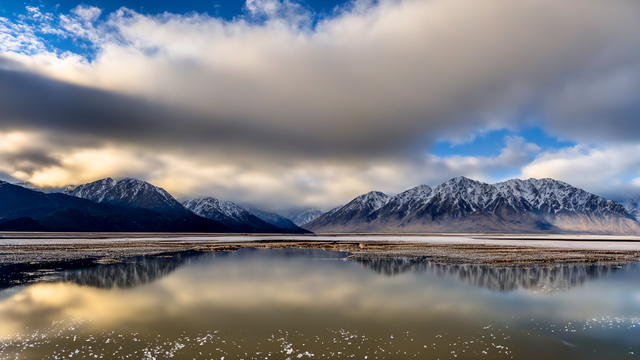 无码成人av在线